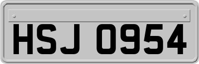 HSJ0954