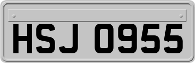 HSJ0955