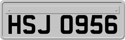 HSJ0956