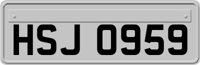 HSJ0959