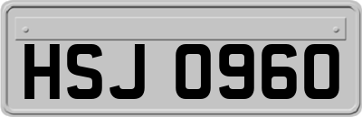 HSJ0960