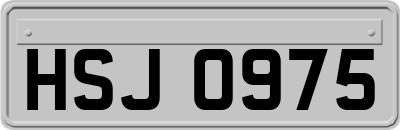 HSJ0975