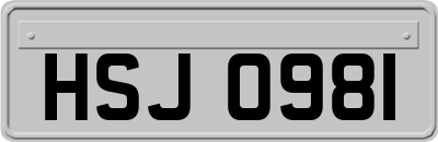HSJ0981