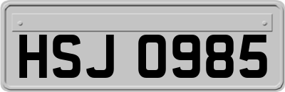 HSJ0985