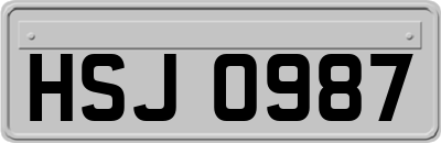 HSJ0987