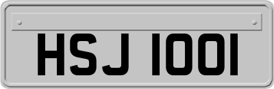 HSJ1001