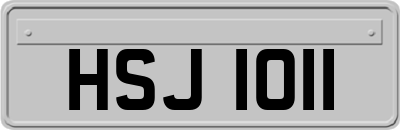 HSJ1011