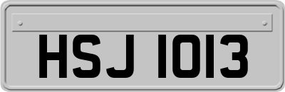 HSJ1013