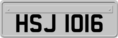 HSJ1016