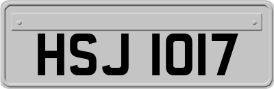 HSJ1017