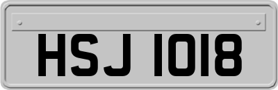 HSJ1018
