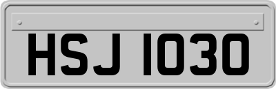 HSJ1030