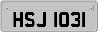 HSJ1031
