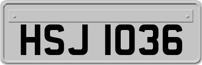 HSJ1036