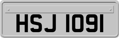 HSJ1091