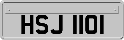 HSJ1101