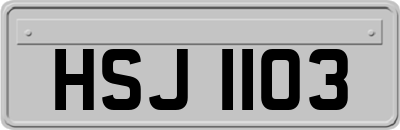 HSJ1103