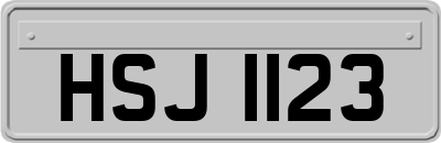 HSJ1123