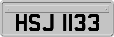 HSJ1133