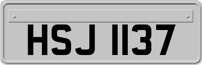 HSJ1137