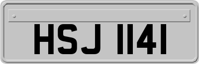 HSJ1141