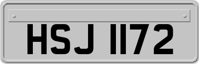 HSJ1172
