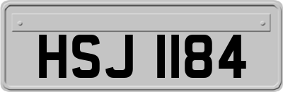 HSJ1184