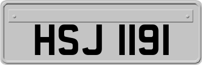 HSJ1191