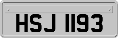 HSJ1193