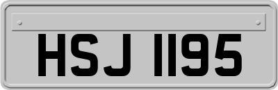 HSJ1195