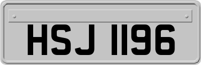 HSJ1196