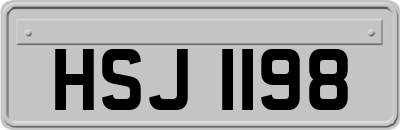 HSJ1198