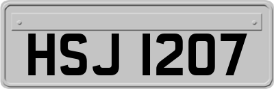 HSJ1207