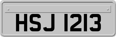 HSJ1213