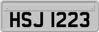 HSJ1223