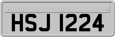 HSJ1224