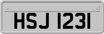 HSJ1231