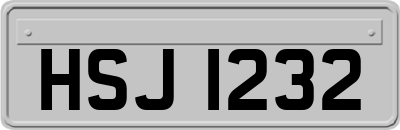 HSJ1232