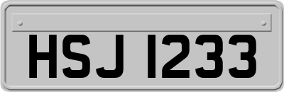 HSJ1233