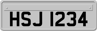 HSJ1234