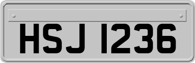 HSJ1236