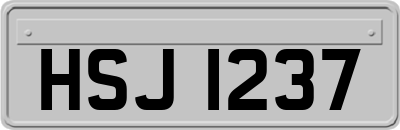 HSJ1237