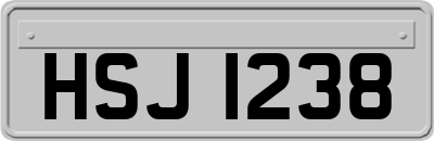 HSJ1238