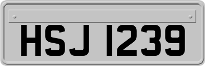 HSJ1239