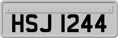 HSJ1244