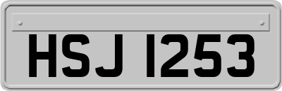 HSJ1253