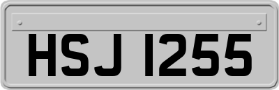 HSJ1255
