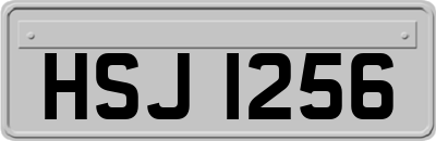 HSJ1256