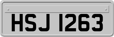 HSJ1263