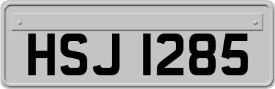 HSJ1285